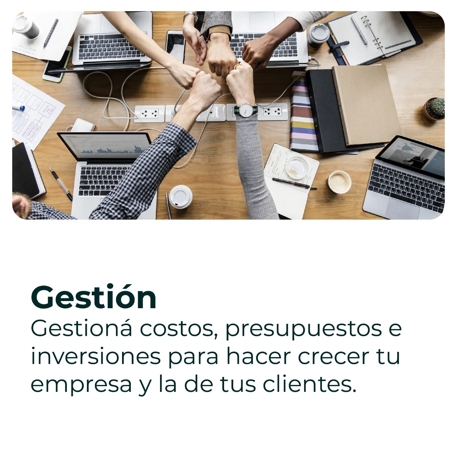 Perfil profesional