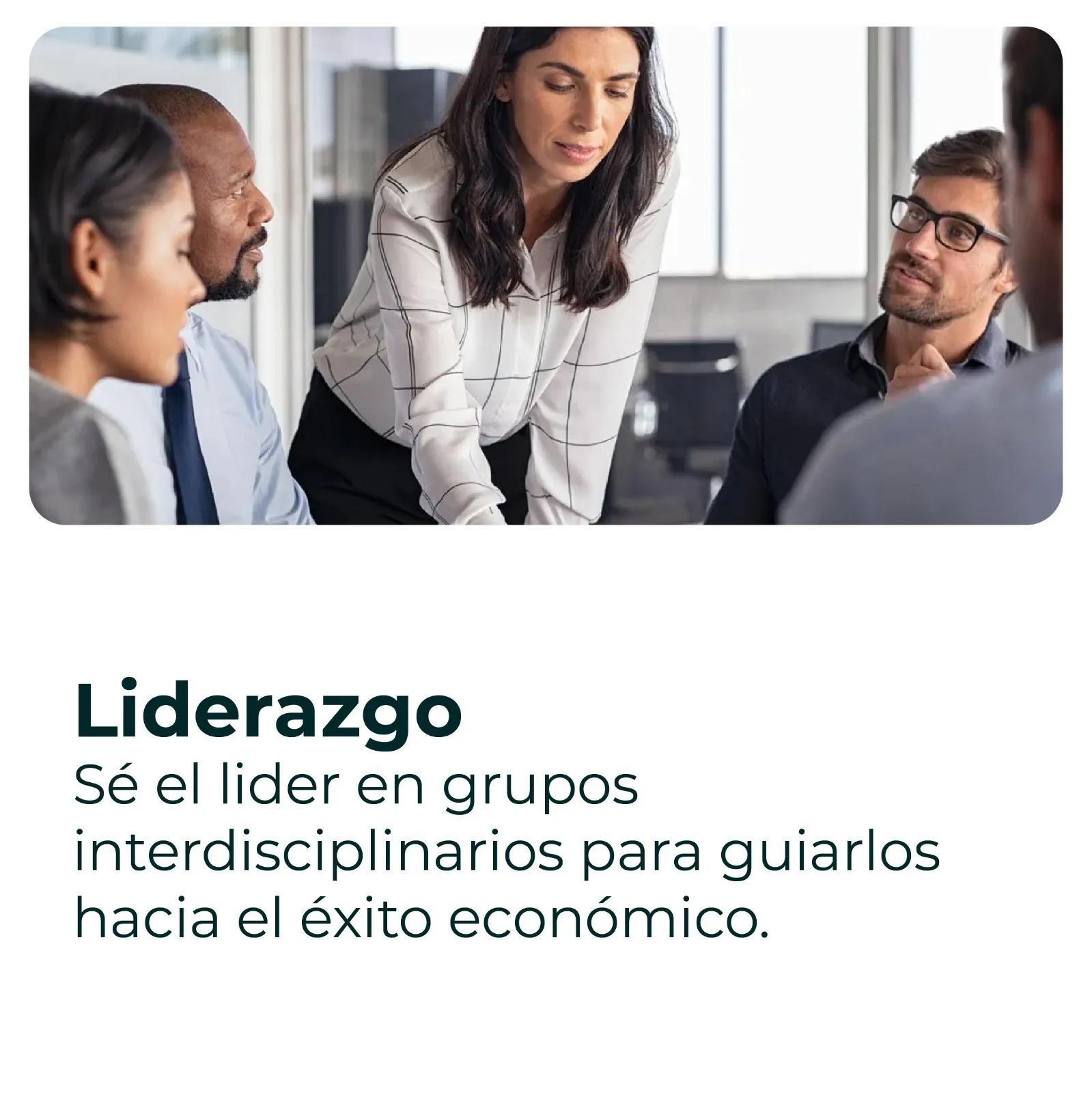 Perfil profesional